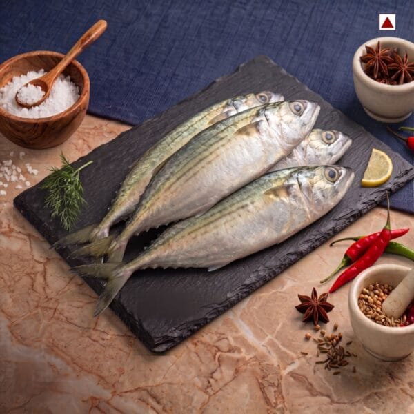 Fresh Bangda (Indian Mackerel) fish