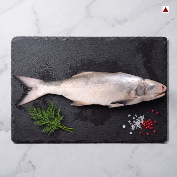 Fresh Rawas (Indian Salmon) fish