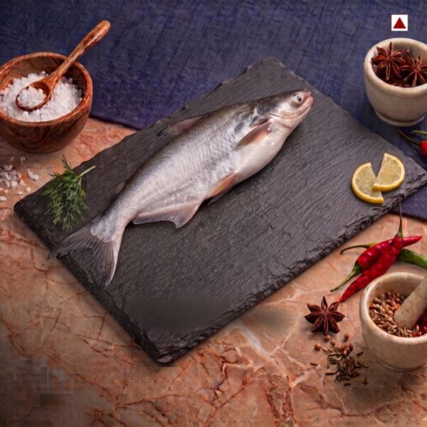 Fresh Basa freshwater fish