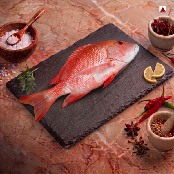 Fresh Red Snapper (Tambusa / Taamb) fish