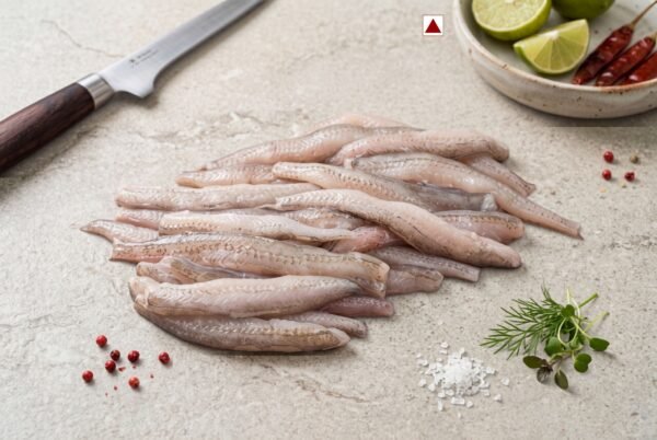 Fresh Bombay Duck (Bombil) fish