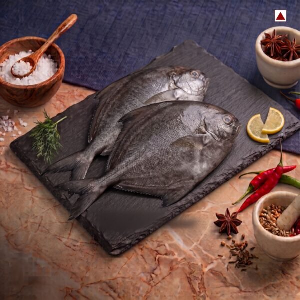 Fresh Black Pomfret (Halwa Fish)