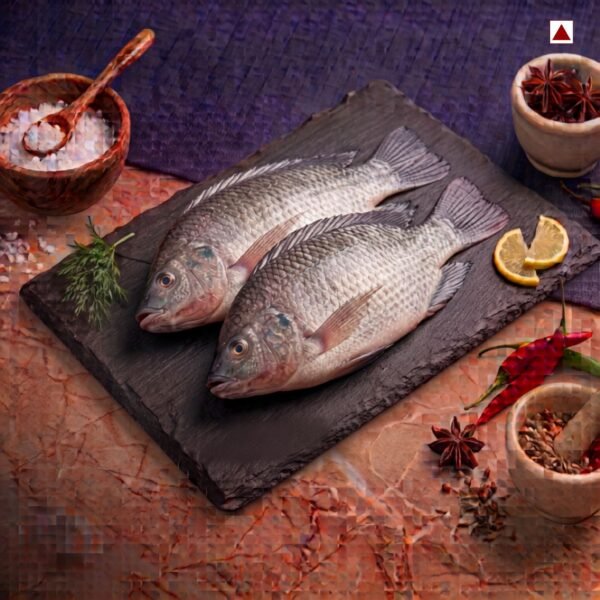 Fresh Tilapia freshwater fish