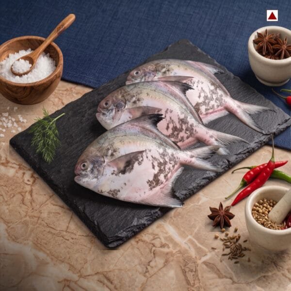 Fresh Khapri Pomfret (Kaapri Paaplet)